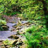 Review photo of Campbell Tree Grove Campground by Cheese H., August 19, 2017