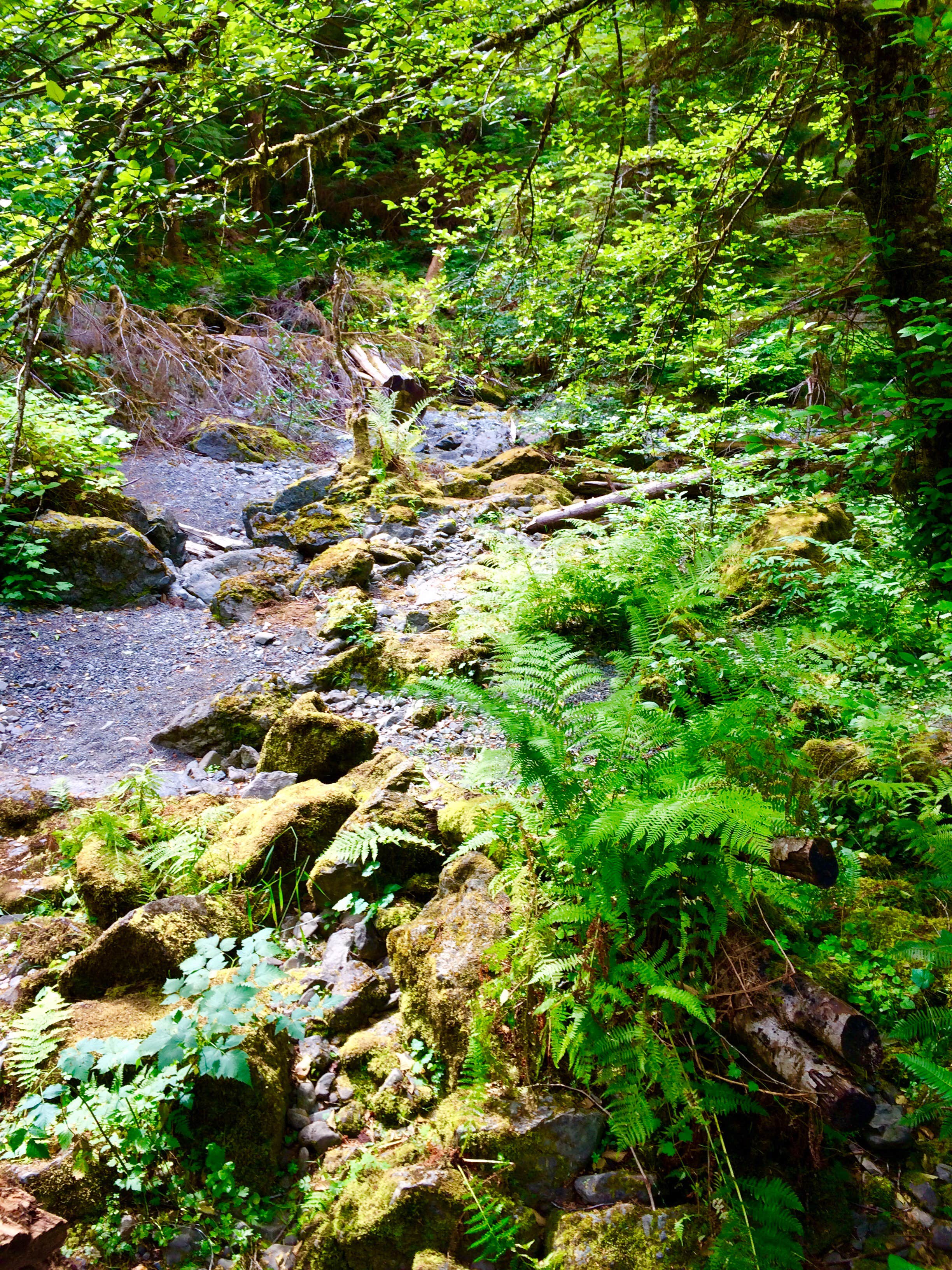 Camper submitted image from Campbell Tree Grove Campground - 2