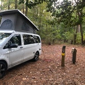 Review photo of Trap Pond State Park Campground by Lee D., October 31, 2019