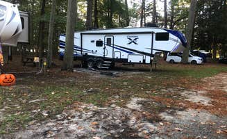 Lee D.'s photo of rv camping at Trap Pond State Park Campground in Delaware