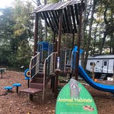 Review photo of Trap Pond State Park Campground by Lee D., October 31, 2019