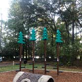 Review photo of Trap Pond State Park Campground by Lee D., October 31, 2019