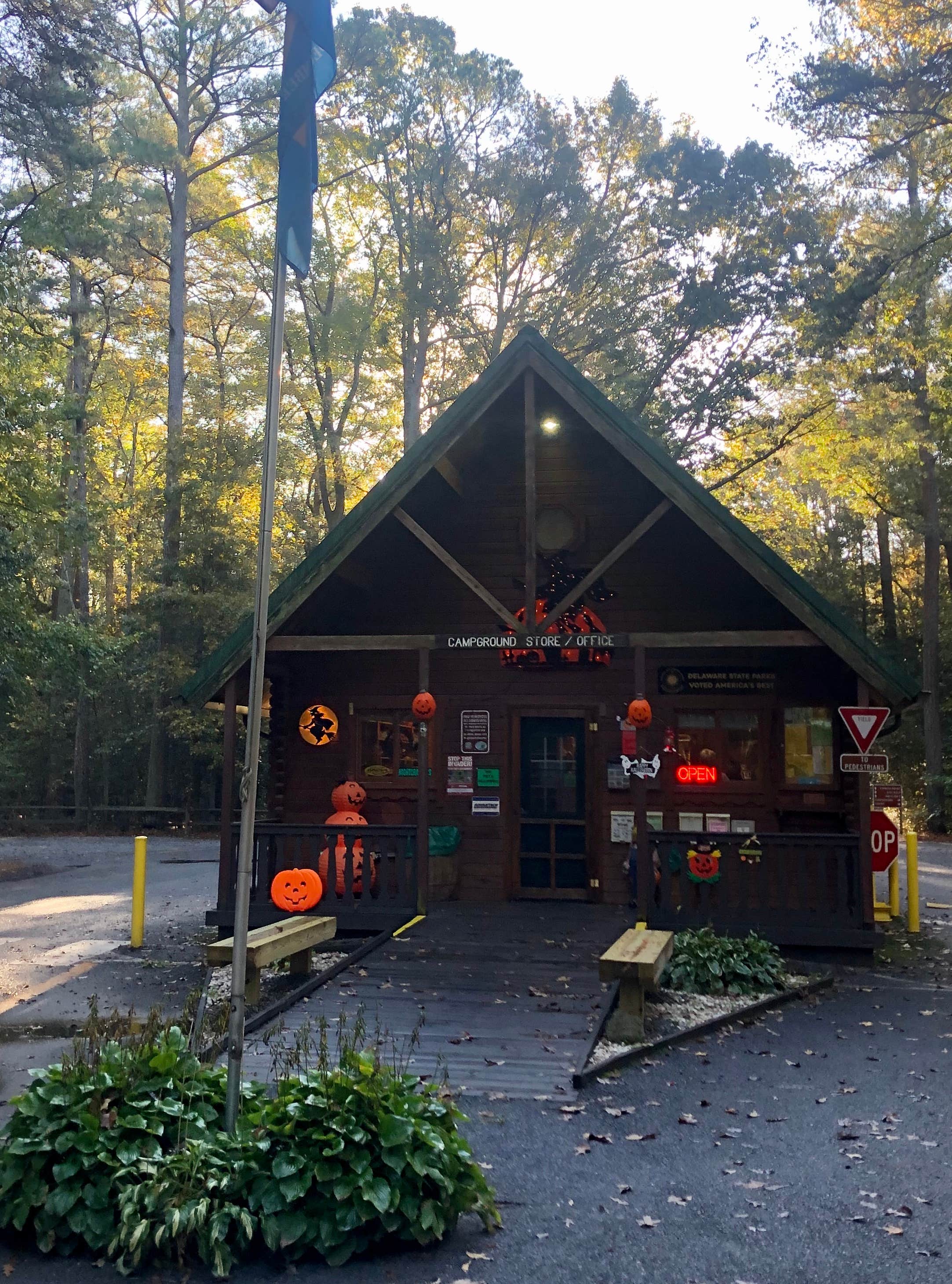 Lee D.'s photo of a cabin at Trap Pond State Park Campground near Dagsboro, DE