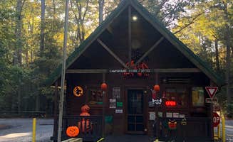 Lee D.'s photo of a cabin at Trap Pond State Park Campground near Chincoteague, VA