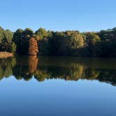 Review photo of Trap Pond State Park Campground by Lee D., October 31, 2019