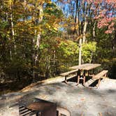 Review photo of Greenbrier State Park Campground - TEMPORARILY CLOSED by Lee D., October 31, 2019