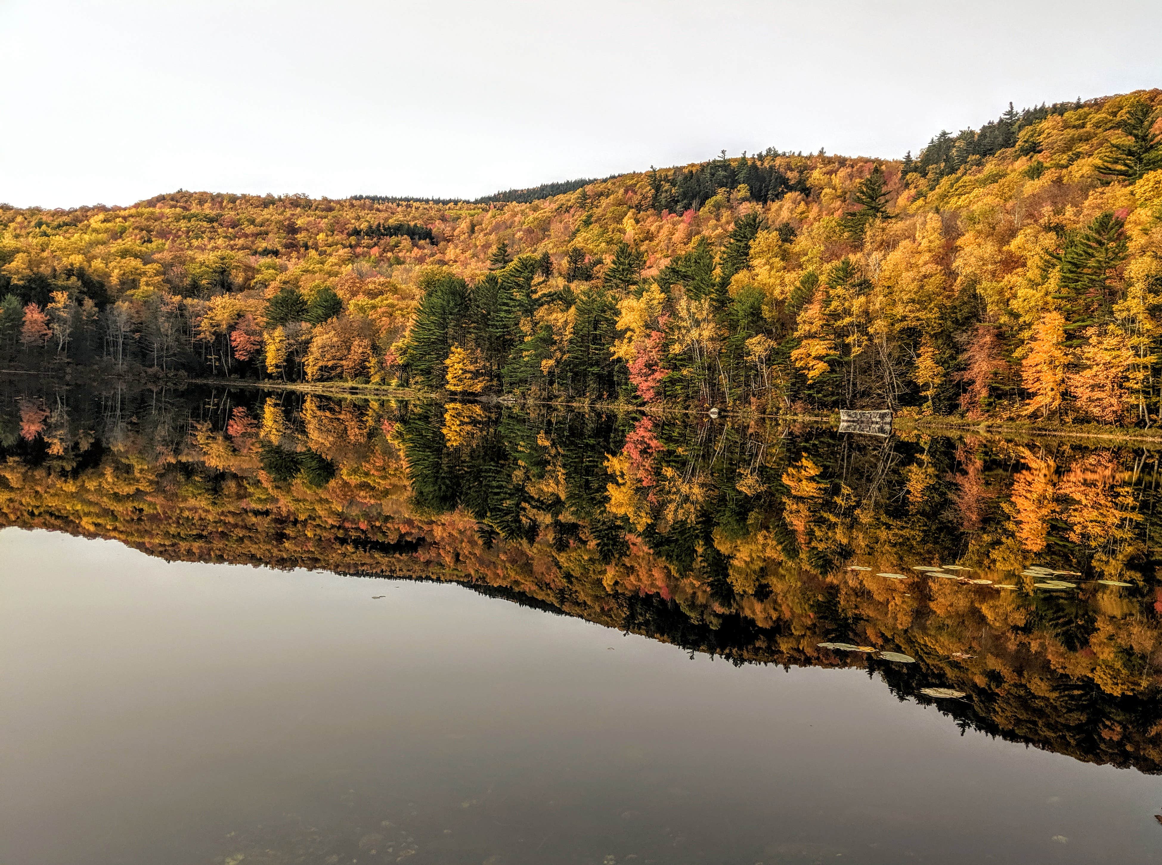 Camper-submitted photo at Crocker Pond near Hanover, ME