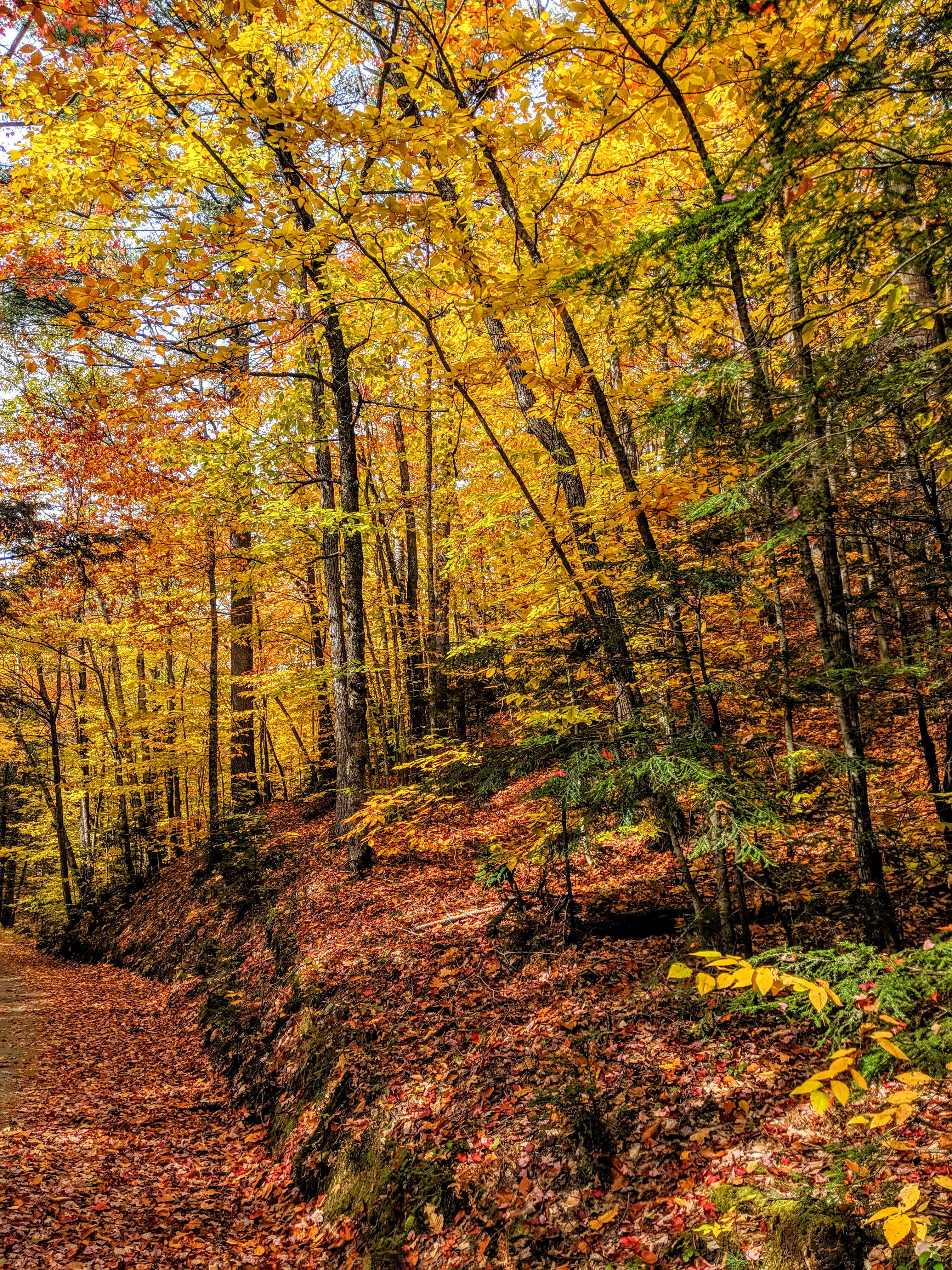 Camper-submitted photo at Crocker Pond near Hanover, ME