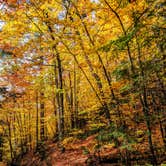 Review photo of Crocker Pond by Shari  G., October 31, 2019