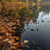 Review photo of Crocker Pond by Shari  G., October 31, 2019