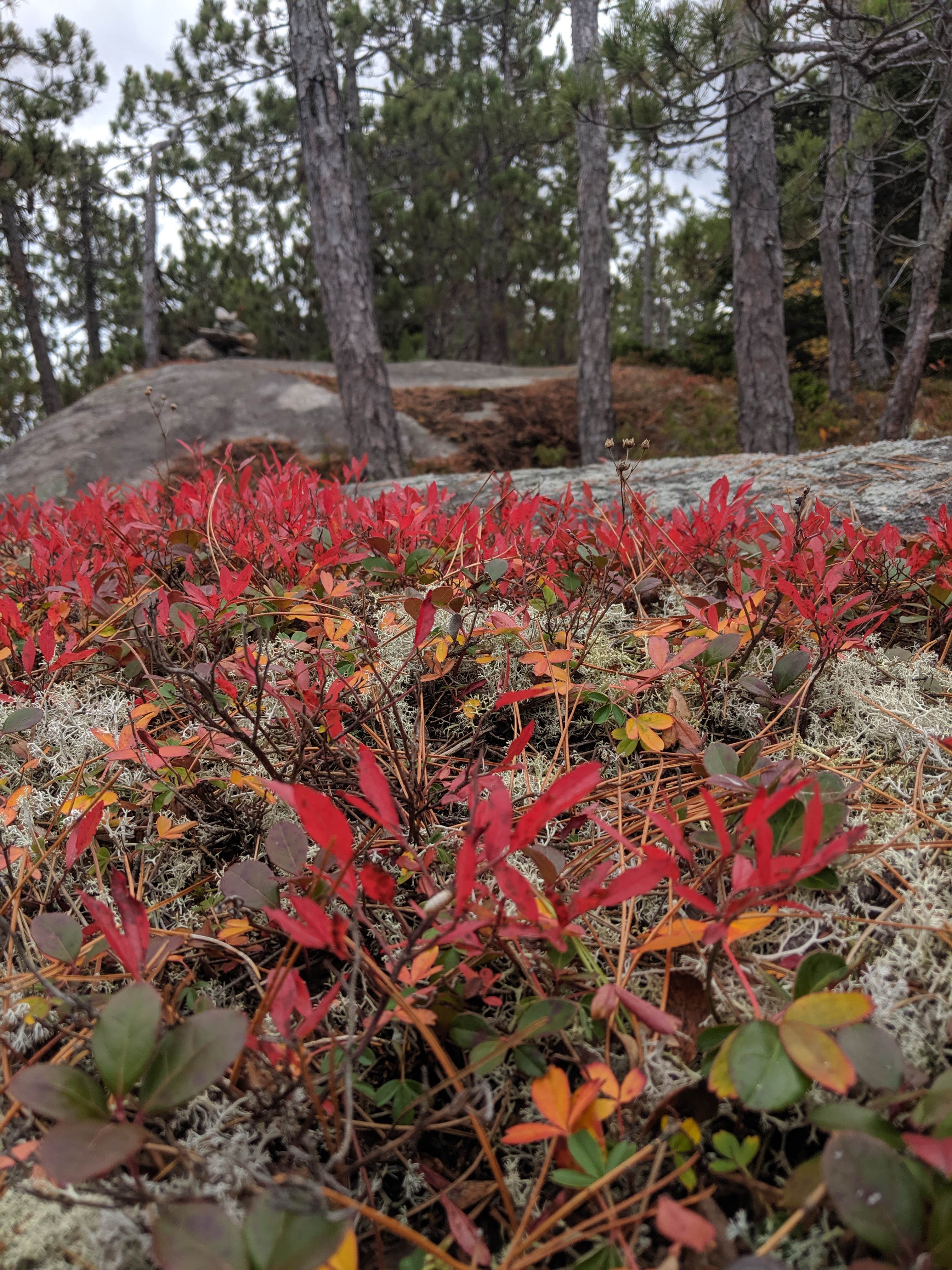 Camper-submitted photo at Crocker Pond near Hanover, ME