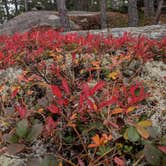 Review photo of Crocker Pond by Shari  G., October 31, 2019