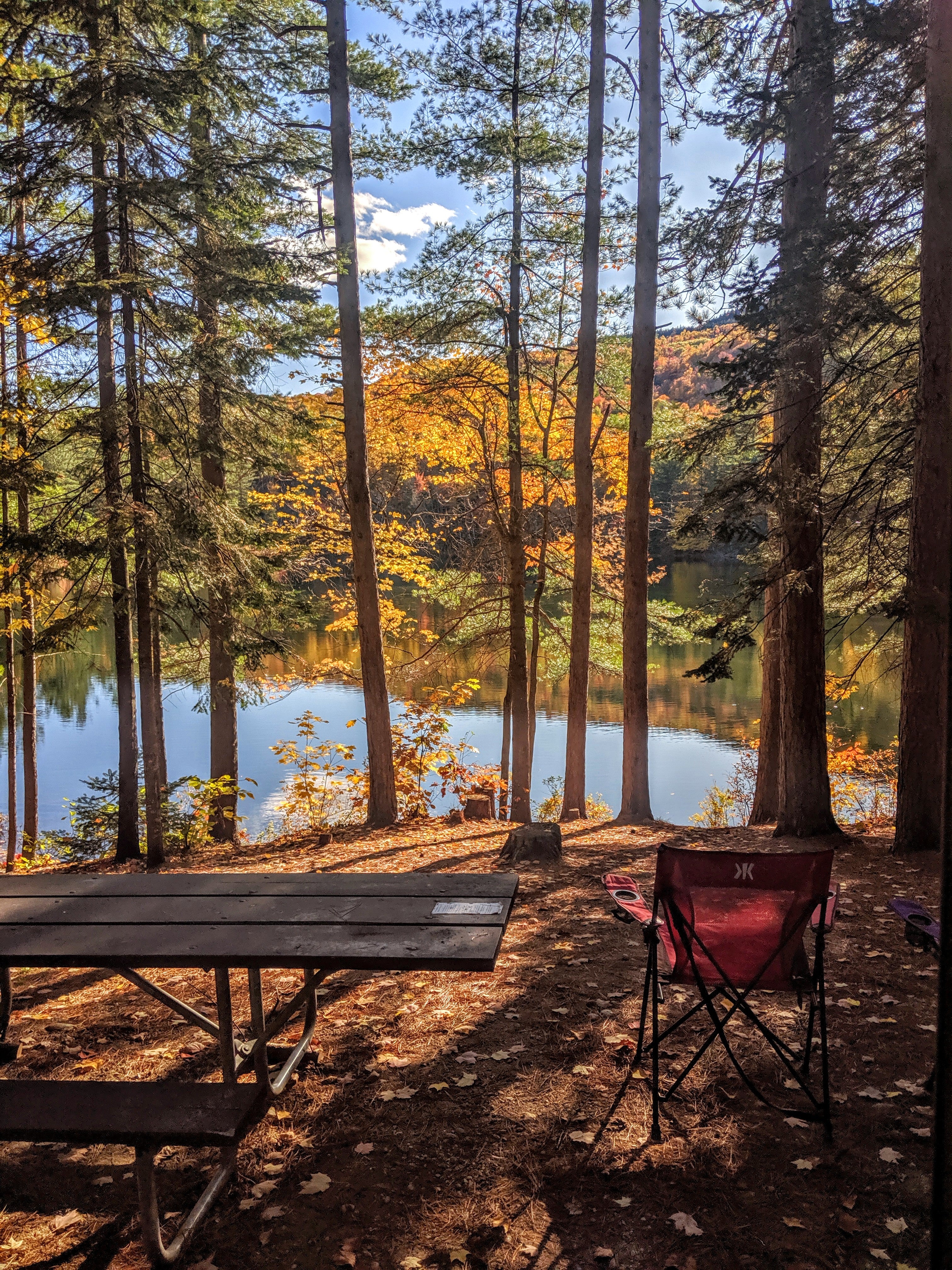 Camper submitted image from Crocker Pond - 1