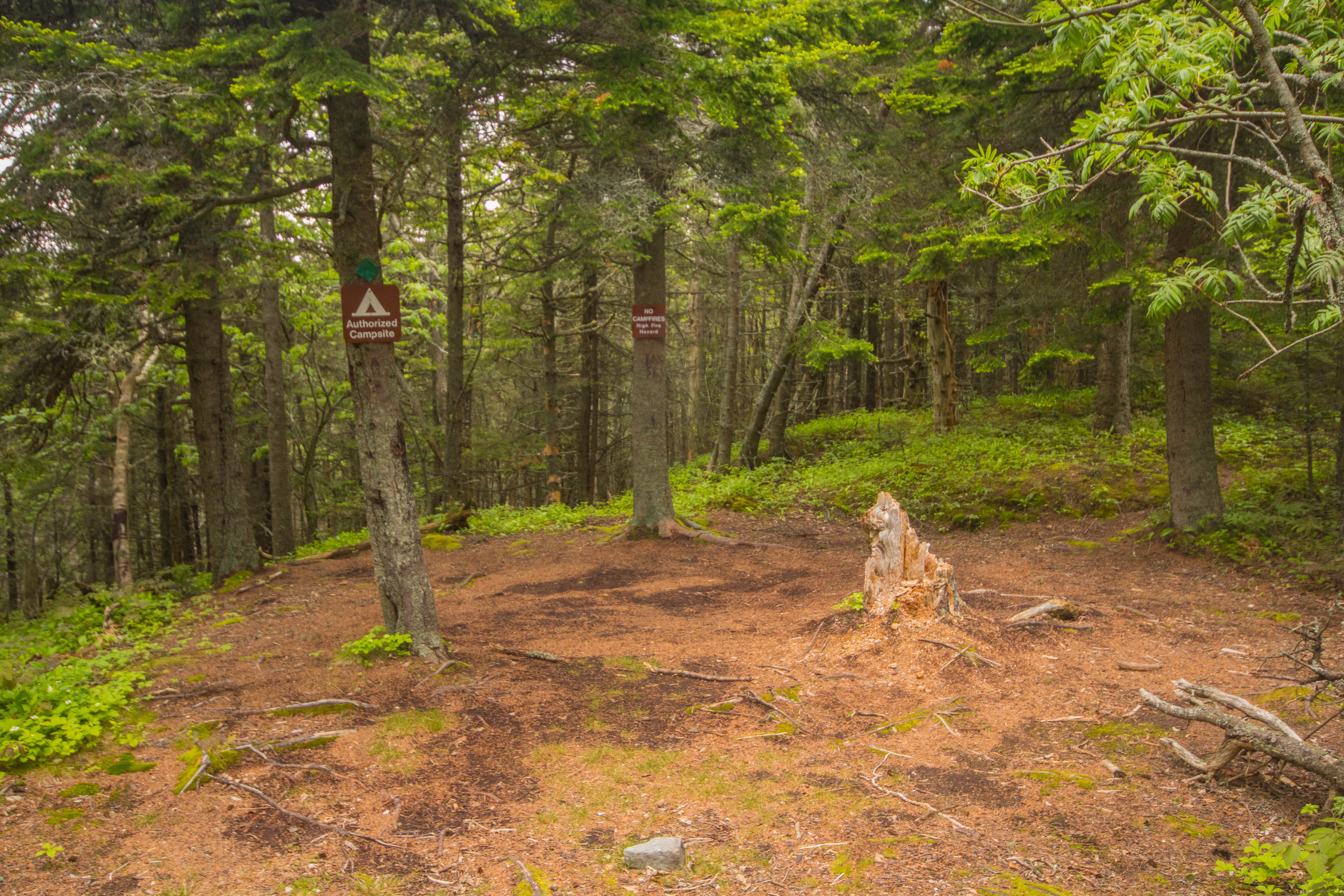 Camper submitted image from Cutler Coast Public Land — Cutler Coast Ecological Reserve - 3