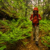 Review photo of Cutler Coast Public Land by Shari  G., October 31, 2019