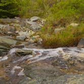 Review photo of Cutler Coast Public Land by Shari  G., October 31, 2019