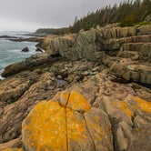Review photo of Cutler Coast Public Land — Cutler Coast Ecological Reserve by Shari  G., October 31, 2019