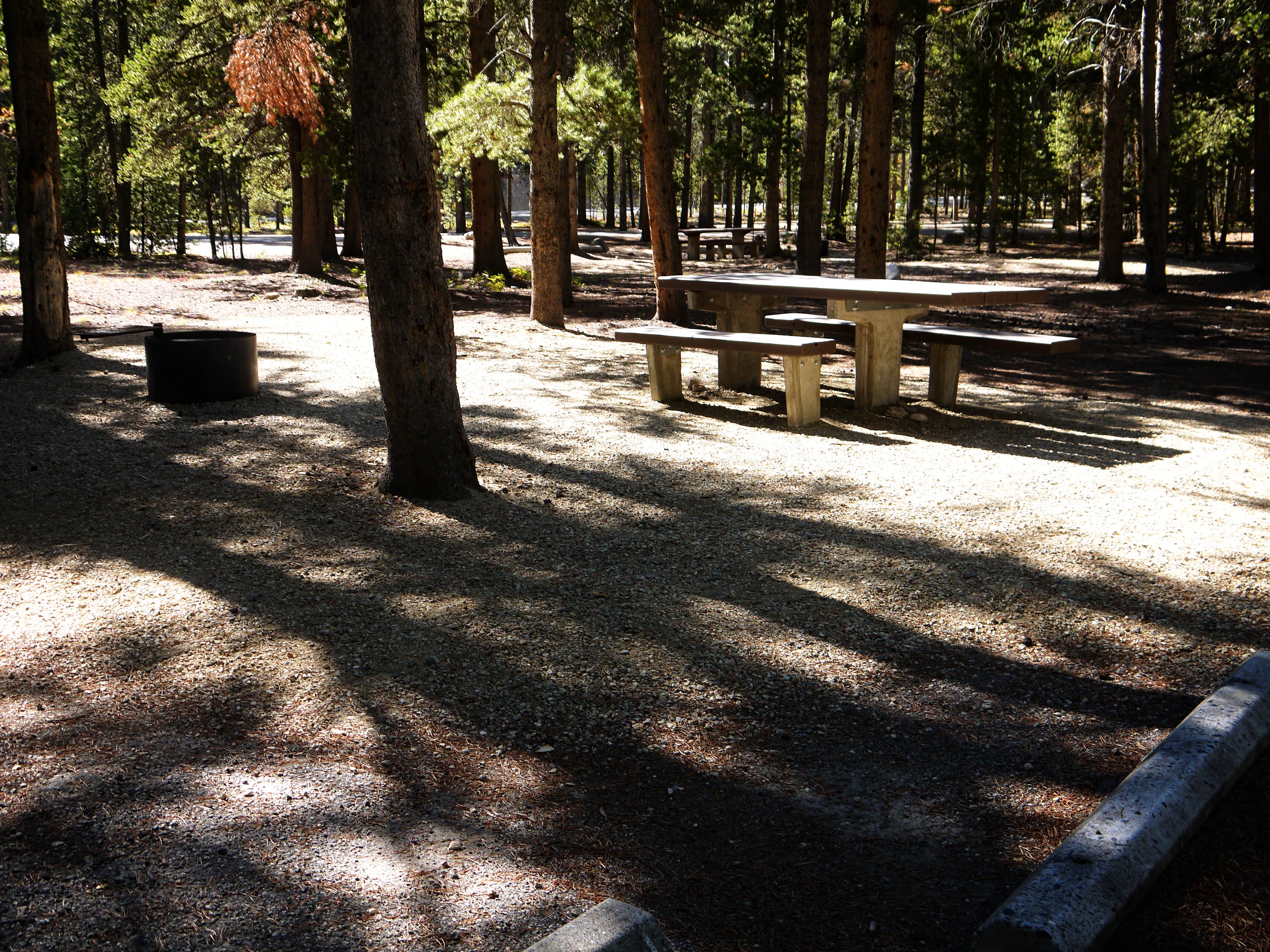 Basin Campground