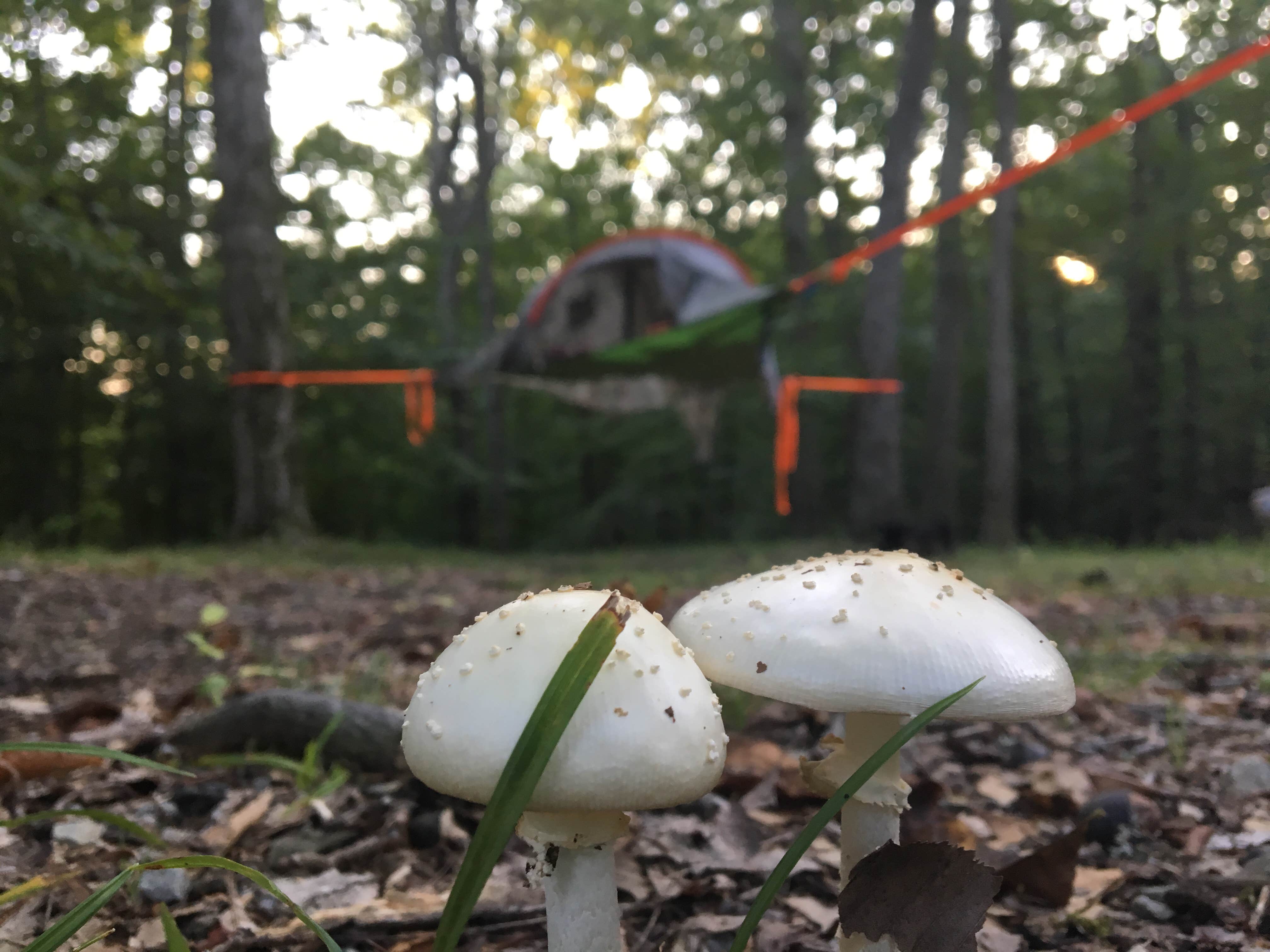 Camper submitted image from Lake Cumberland State Resort Park - 2