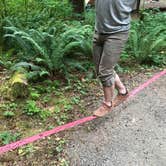 Review photo of Hamma Hamma Campground by Elizabeth K., August 19, 2017