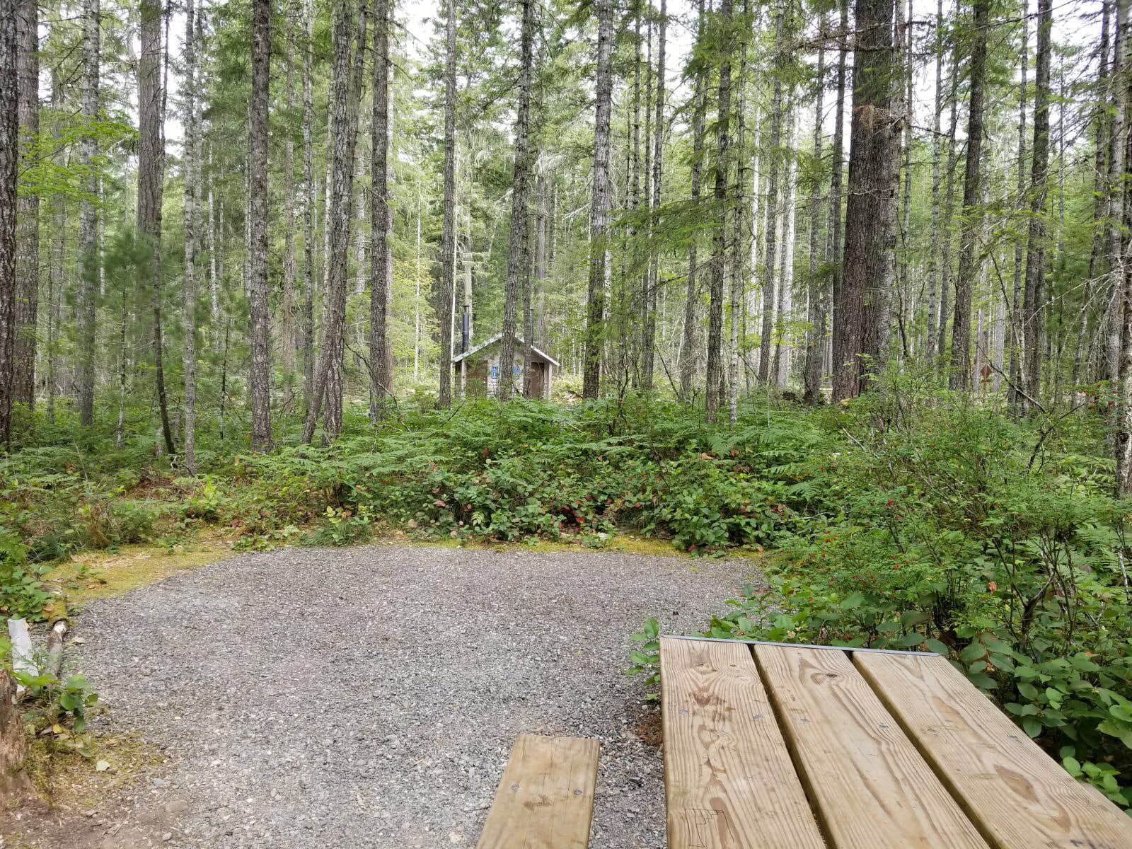 Camper-submitted photo at Big Creek Campground near Lilliwaup, WA