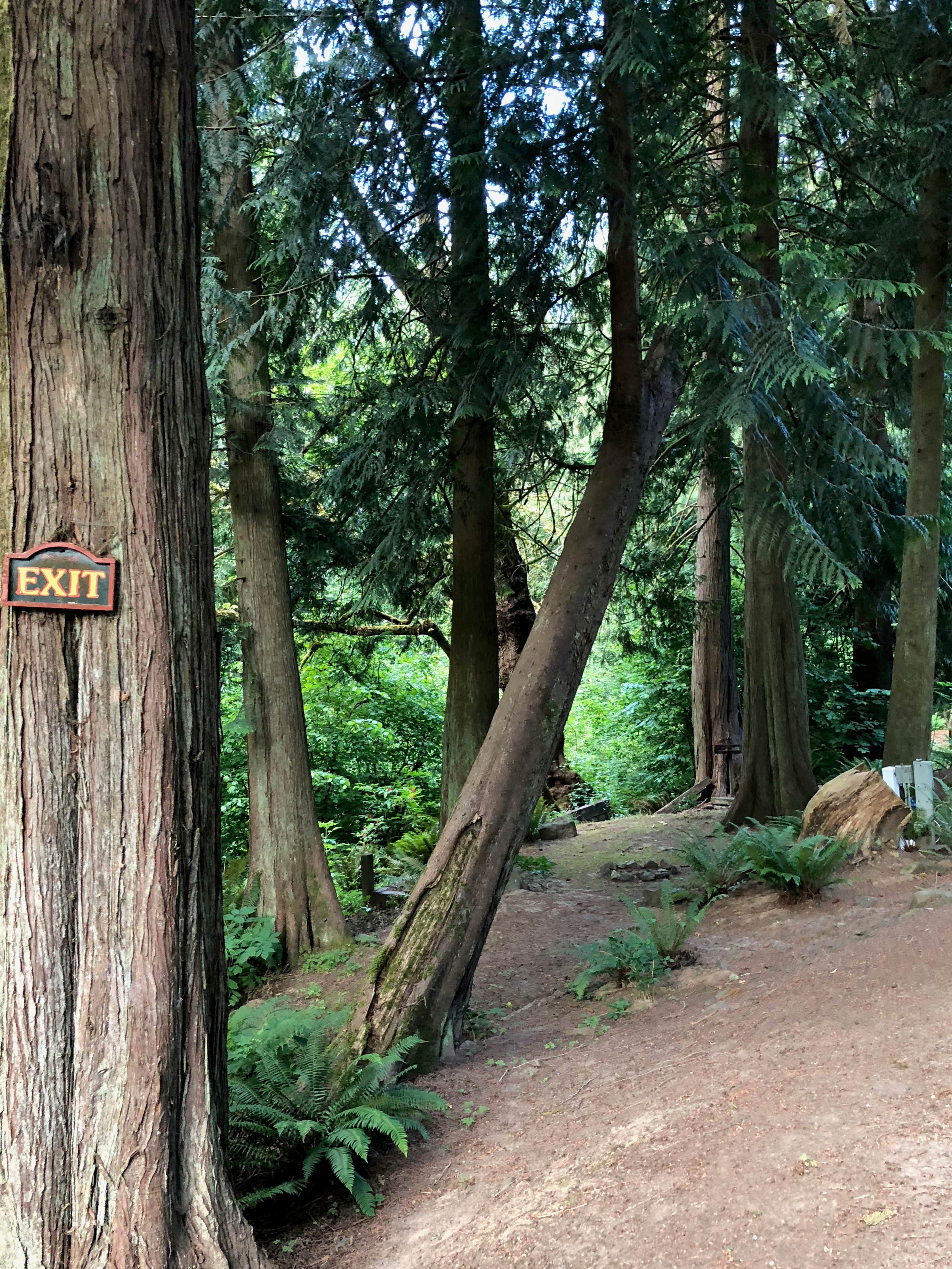 Camper-submitted photo at Cedars RV Park near Toledo, WA
