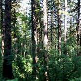 Review photo of Beacon Rock State Park Group Campground — Beacon Rock State Park by Corinna B., May 31, 2018