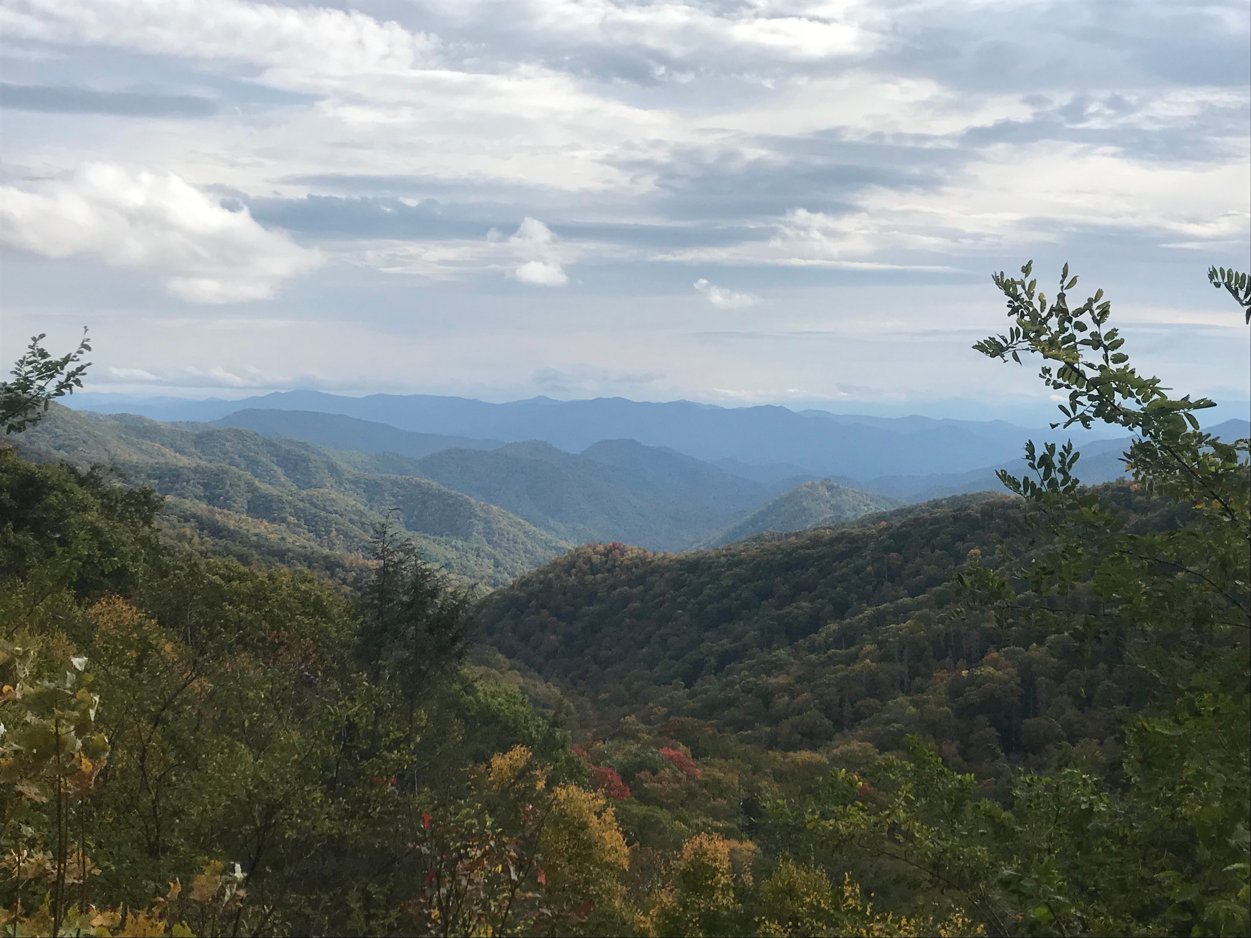 Smokey Mountain views are abundant as you travel the parkway...or in this case meander up to Clingman's Dome (until the heavy cloud cover rolls in)