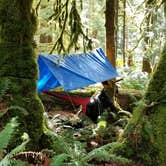 Review photo of Fairholme Campground — Olympic National Park by Elizabeth K., August 19, 2017