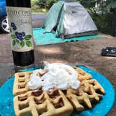Review photo of Fairholme Campground — Olympic National Park by Elizabeth K., August 19, 2017