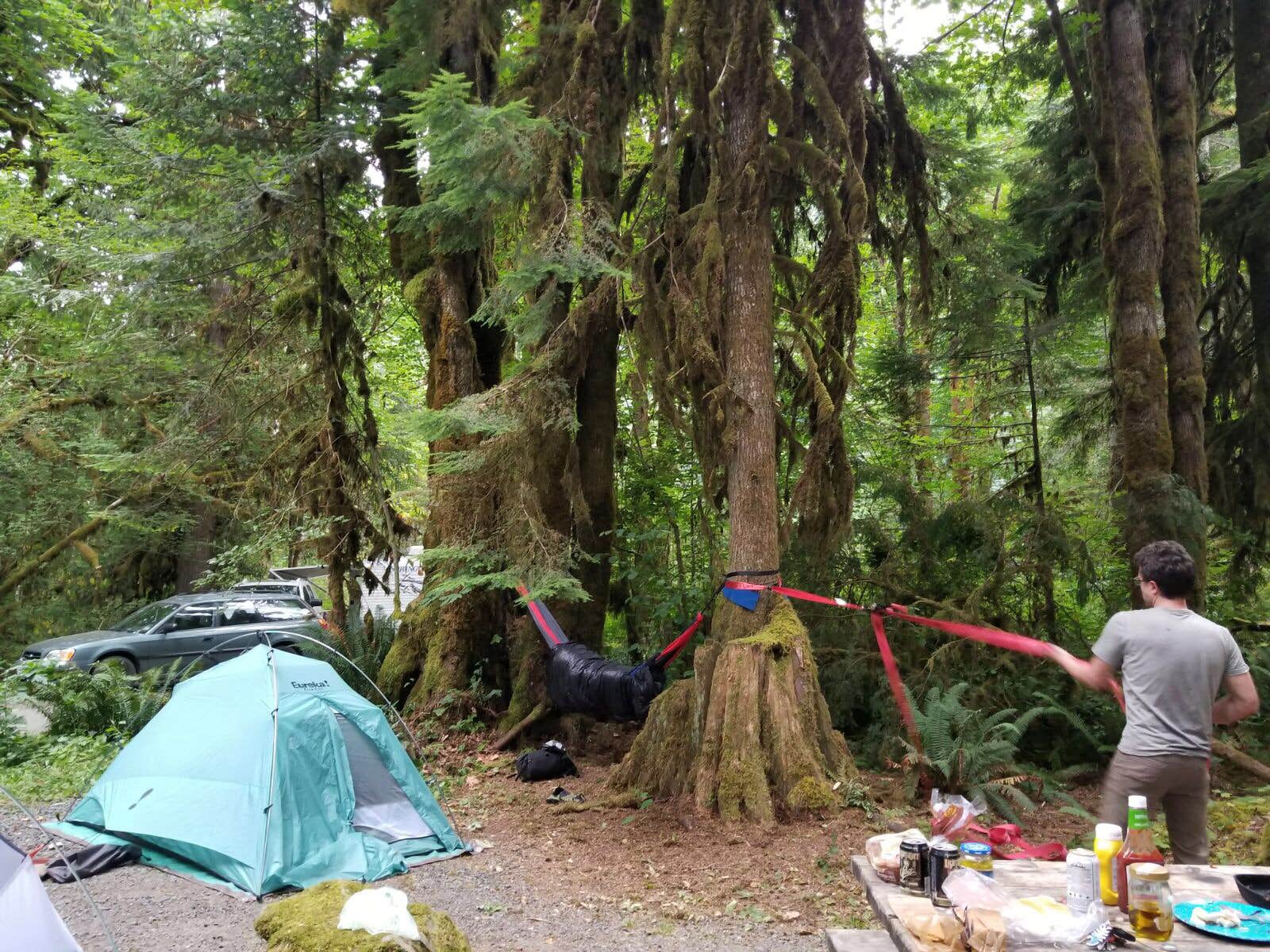 Camping near Hamma Hamma Cabin: Hamma Hamma Campground, Lilliwaup, Washington