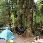 Review photo of Hamma Hamma Campground by Elizabeth K., August 19, 2017