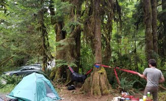 Elizabeth K.'s photo at Hamma Hamma Campground near Brinnon, WA