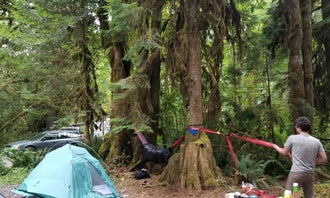 Camping near Hamma Hamma Cabin: Hamma Hamma Campground, Lilliwaup, Washington