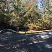 Review photo of Badin Lake Campground by Dave V., October 31, 2019