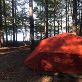 Review photo of Badin Lake Campground by Dave V., October 31, 2019