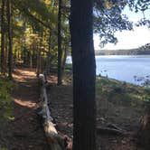 Review photo of Badin Lake Campground by Dave V., October 31, 2019