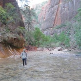 Review photo of South Campground — Zion National Park by Kate W., October 31, 2019