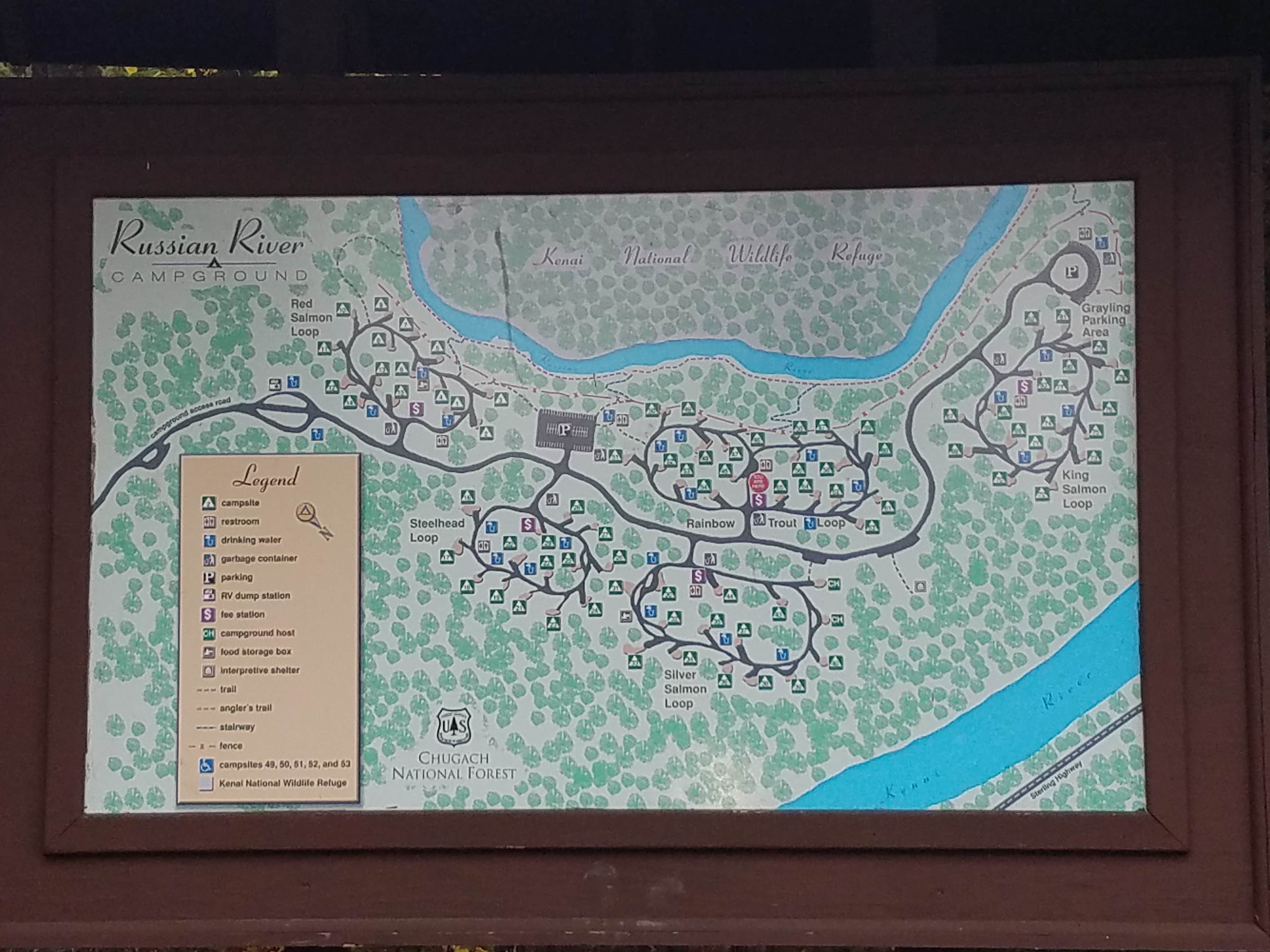 Camper submitted image from Russian River - TEMPORARILY CLOSED - 5