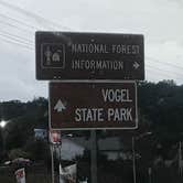 Review photo of Vogel State Park Campground by Dave V., October 31, 2019