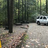 Review photo of Vogel State Park Campground by Dave V., October 31, 2019