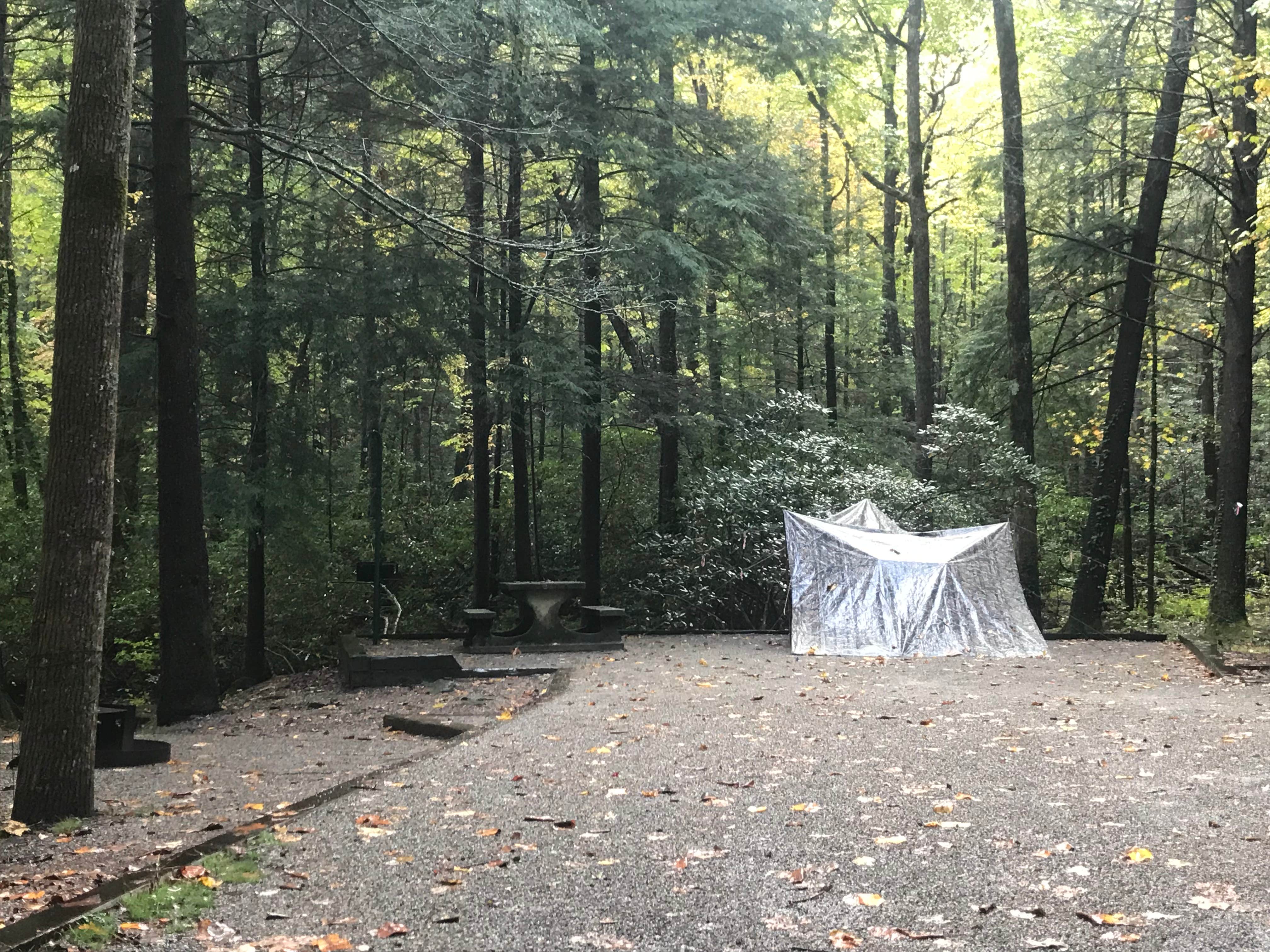 Dave V.'s photo at Vogel State Park Campground near Chattahoochee-Oconee National Forests