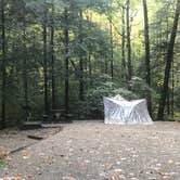 Review photo of Vogel State Park Campground by Dave V., October 31, 2019