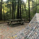 Review photo of Vogel State Park Campground by Dave V., October 31, 2019