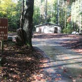 Review photo of Vogel State Park Campground by Dave V., October 31, 2019