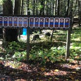 Review photo of Vogel State Park Campground by Dave V., October 31, 2019