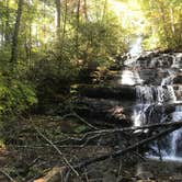 Review photo of Vogel State Park Campground by Dave V., October 31, 2019