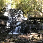 Review photo of Vogel State Park Campground by Dave V., October 31, 2019