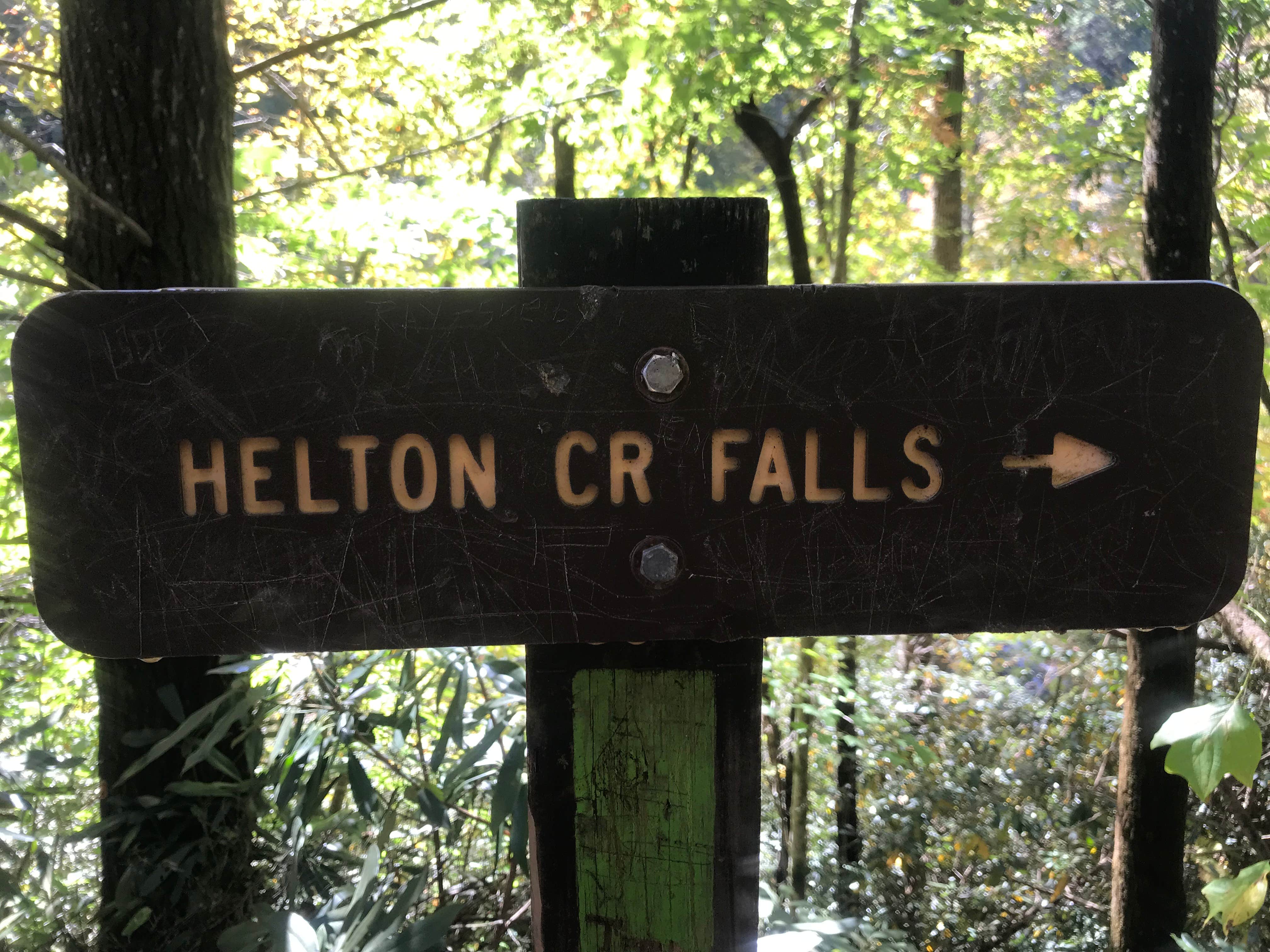 Camper-submitted photo at Vogel State Park Campground in Georgia