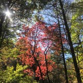 Review photo of Vogel State Park Campground by Dave V., October 31, 2019